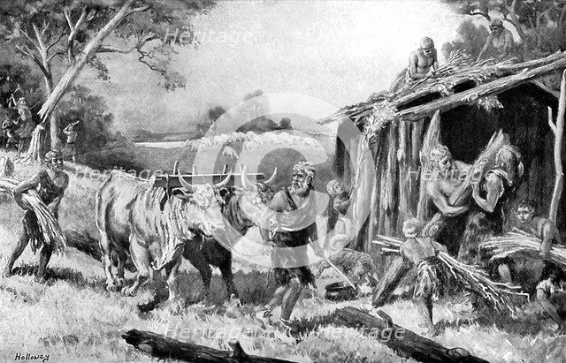 Building a tribal homestead, (c1920). Artist: A Holloway