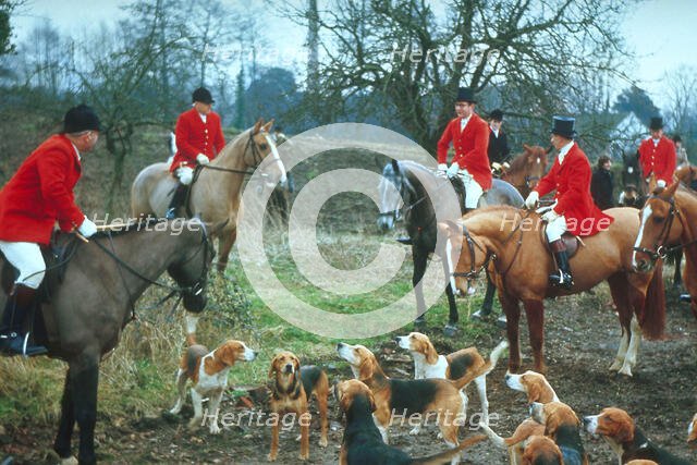 British hunting scene, c1955. Creator: Arthur Charles Kirby Ware.