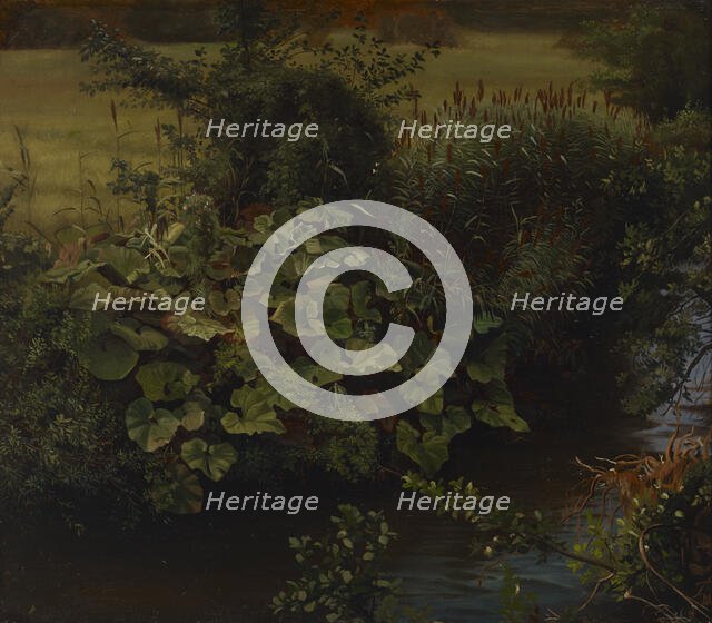 Brook, copy after Johann Wilhelm Schirmer, 1860-1880. Creator: Hjalmar Munsterhjelm.