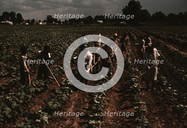 Bayou Bourbeau plantation operated by Bayou Bourbeau Farmstead Assoc..., Natchitoches, La., 1940. Creator: Marion Post Wolcott.