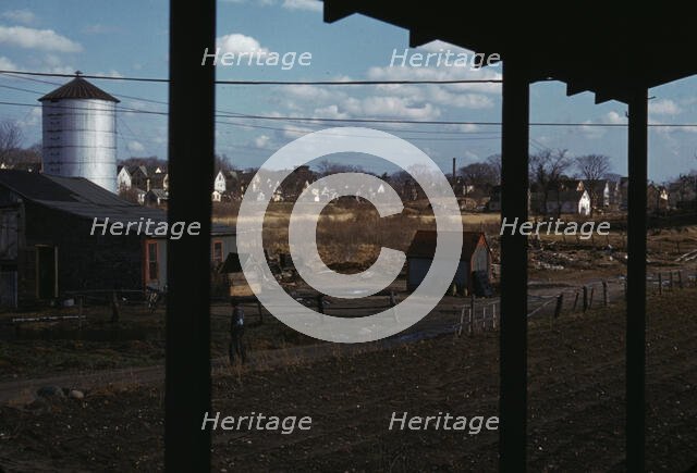 Small farm of John P. Collins, Taunton, Mass., 1941. Creator: Jack Delano.