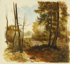 Forest path, 1850-1900. Creator: Jan Nowopacký.