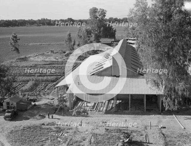 New barn under construction, Mineral King Farm Cooperative Association, Tulare County, CA, 1939. Creator: Dorothea Lange.