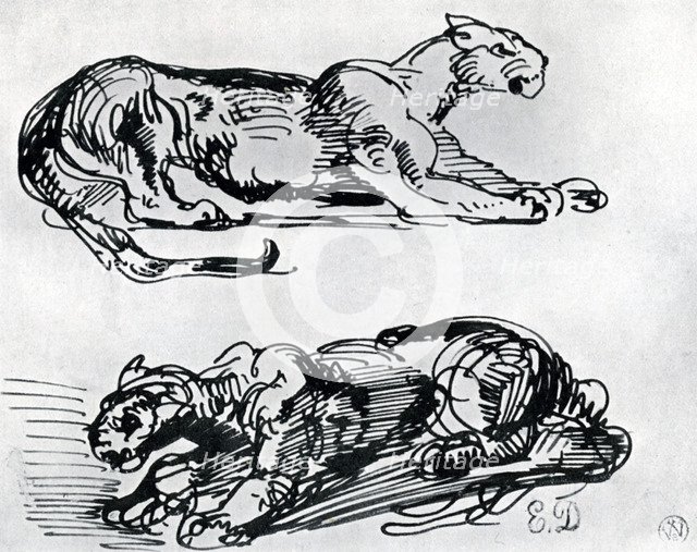 Studies of Panthers, 1913. Artist: Eugène Delacroix