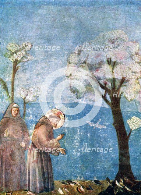 'St Francis Preaching to the Birds', 1297-1299, (c1900-1920). Artist: Unknown