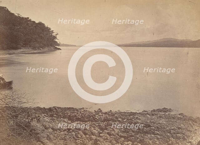 Tropical Scenery, Darien Harbor - Looking South, 1871. Creator: John Moran.