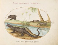 Animalia Qvadrvpedia et Reptilia (Terra): Plate L, c. 1575/1580. Creator: Joris Hoefnagel.