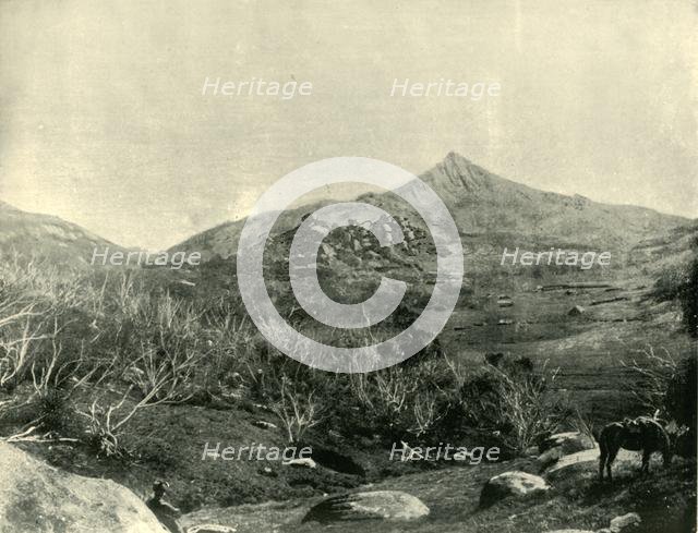 'The Horn, Buffalo Mountains, Victoria', 1901. Creator: Unknown.