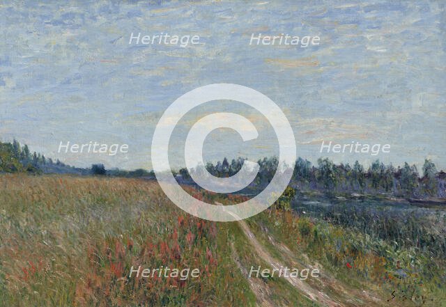 The meadow, c1880. Creator: Sisley, Alfred (1839-1899).