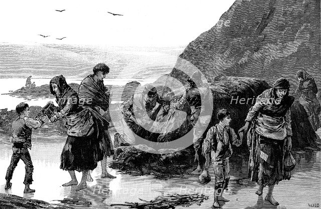 Aftermath of famine, Ireland (1840s), 1886. Artist: Unknown