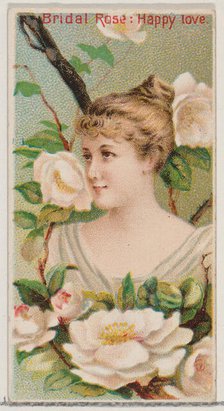 Bridal Rose: Happy Love, from the series Floral Beauties and Language of Flowers (N75) for..., 1892. Creator: Donaldson Brothers.