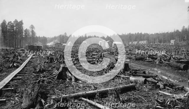 Birth of a city, Davis, W. Va. in 1885, c1885. Creator: William H. Jackson.
