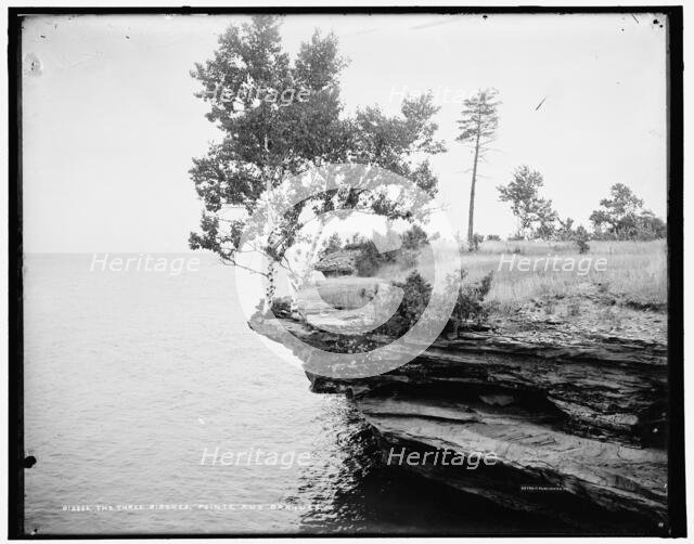 The Three birches, Pointe aux Barques, between 1890 and 1901. Creator: Unknown.