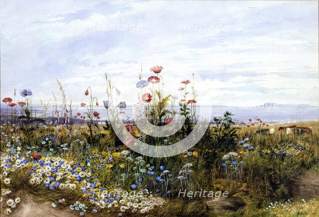 Wildflowers with a View of Dublin Bay from Kingstown, 1830s. Creator: Andrew Nicholl.