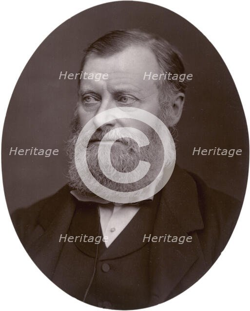 William Edward Forster MP, 1878. Creator: Lock & Whitfield.