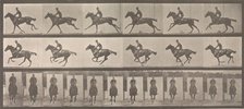 [Horse and Rider Galloping], 1883-86, printed 1887. Creator: Eadweard J Muybridge.