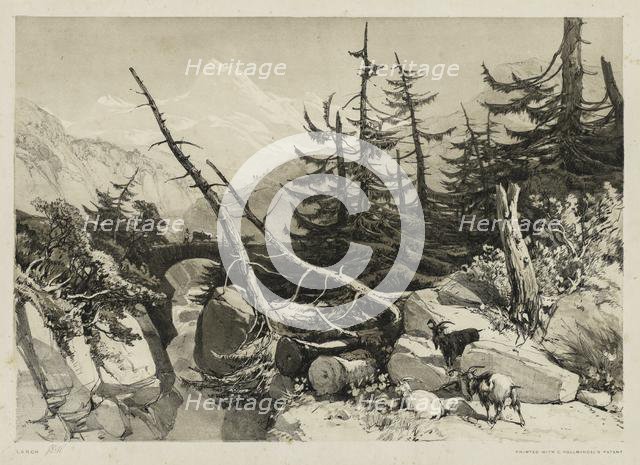 Pine Trees and Bridge, 1841. Creator: James Duffield Harding (British, 1798-1863).