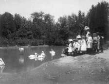 Group of public school children looking at pelicans and swan in the Nation...Washington DC, (1899?). Creator: Frances Benjamin Johnston.