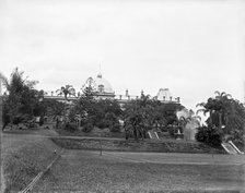 Brisbane City Botanic Gardens, 1910. Creator: Robert Augustus Henry L'Estrange.
