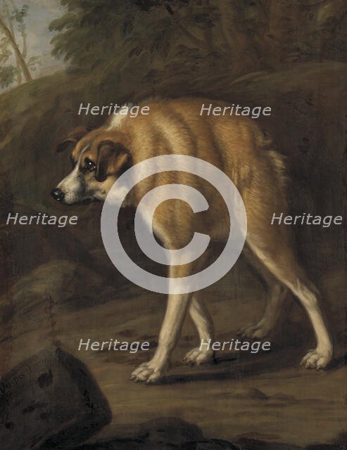 Deformed dog, 1690. Creator: David Klocker Ehrenstrahl.