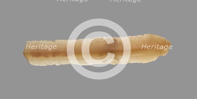 Sickle Blade, 1980-1801 BC. Creator: Unknown.