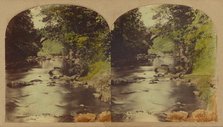 View in the Dargle, county Wicklow, Ireland., about 1860. Creator: London Stereoscopic & Photographic Co.