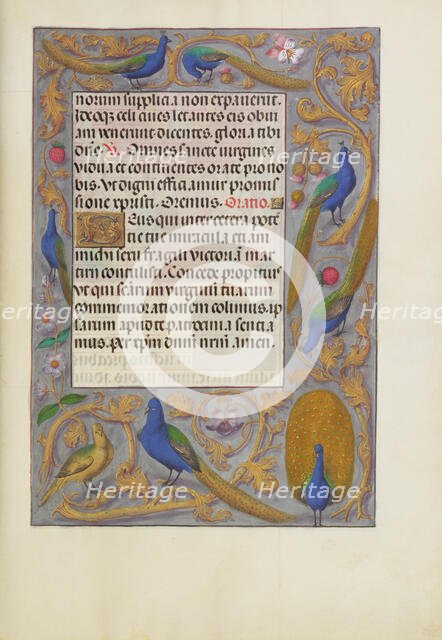 Decorated Text Page; Spinola Hours, about 1510-1520. Creator: Unknown.