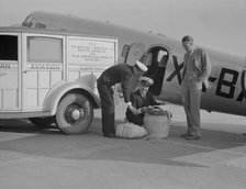 Plant quarantine inspector examining baggage brought into the US, Glendale, California, 1937. Creator: Dorothea Lange.