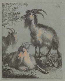 Three Goats, 1758. Creator: Francesco Londonio.