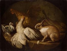 Hens, a Pigeon and a Rabbit, between 1718-1720. Creator: Giovanni Agostino Cassana.