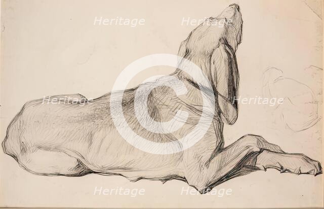 Study of a Labrador, c1840s. Creator: John Phillip.