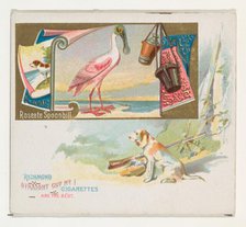 Roseate Spoonbill, from the Game Birds series (N40) for Allen & Ginter Cigarettes, 1888-90. Creator: Allen & Ginter.