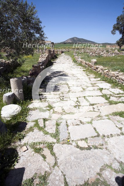 A road in Thuburbo Majus, Tunisia. Artist: Samuel Magal
