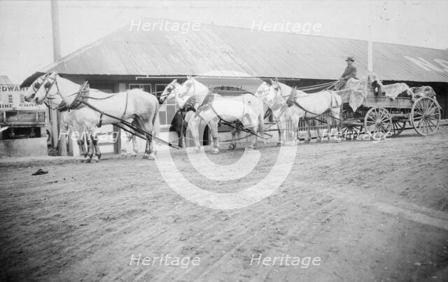 Horse team starting on trail to Chitina, between c1900 and 1927. Creator: Unknown.