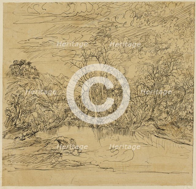 Bank of a Pond, n.d. Creator: Rodolphe Bresdin.