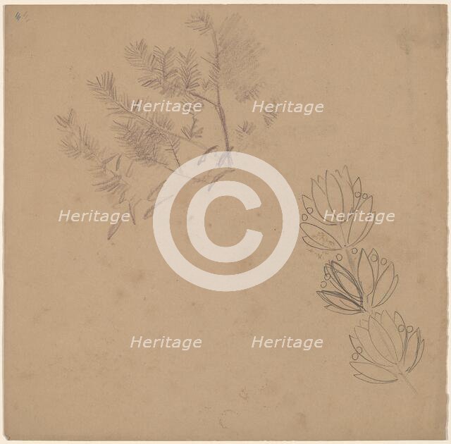 Study for a Border Design with a Sketch of a Tree, 1890/1897. Creator: Charles Sprague Pearce.