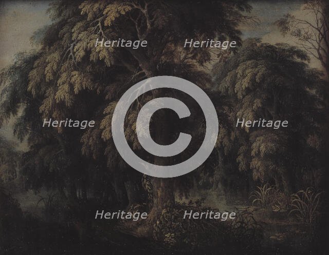 Wooded Landscape, 1615-1620. Creator: Alexander Keirincx.