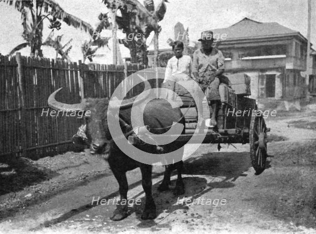 ''Type d'attelage aux Philippines; Les Terres Du Pacifique', 1914. Creator: Unknown.