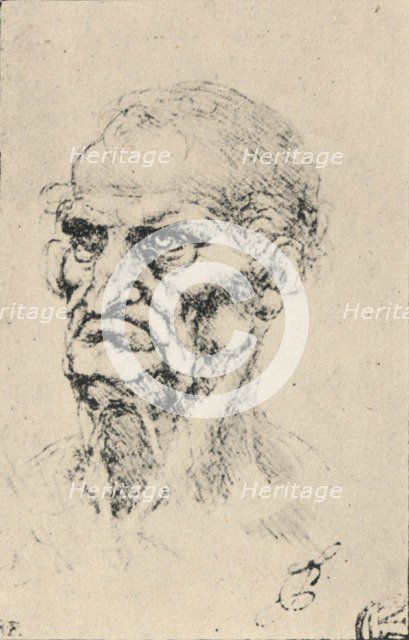 'Head of an Old Man Three-Quarters to the Left', c1480 (1945). Artist: Leonardo da Vinci.