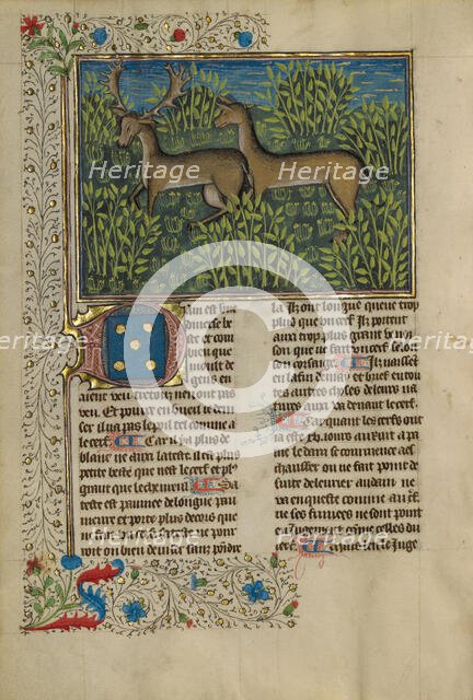 Fallow Deer; Livre de la Chasse, about 1430-1440. Creator: Unknown.