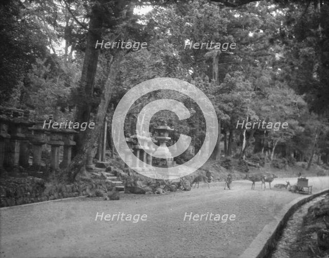 Travel views of Japan and Korea, 1908. Creator: Arnold Genthe.