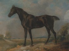 Golding Constable's Black Riding-Horse, between 1805 and 1810. Creator: John Constable.