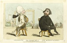 The Rival Pigs, published June 15, 1795. Creator: Isaac Cruikshank.