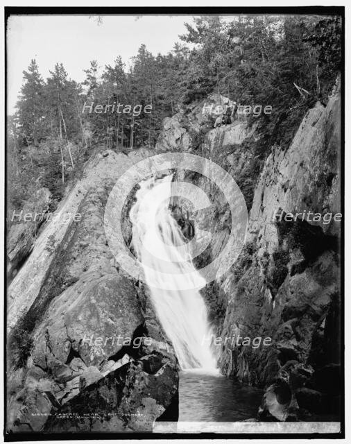 Cascade near Lake Dunmore, Green Mountains, between 1900 and 1906. Creator: Unknown.