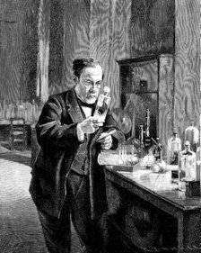 French chemist and microbiologist Louis Pasteur (1822–1895). Artist: Anonymous  