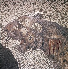 Leopard Mosaic detail, Great Palace, Istanbul, c4th-6th century. Artist: Unknown.