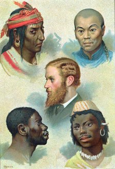Five types of the human race, late 19th century. Artist: Unknown