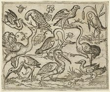 Ostrich on left side with nine other birds, including a heron and a pelican..., 1557. Creator: Virgil Solis.