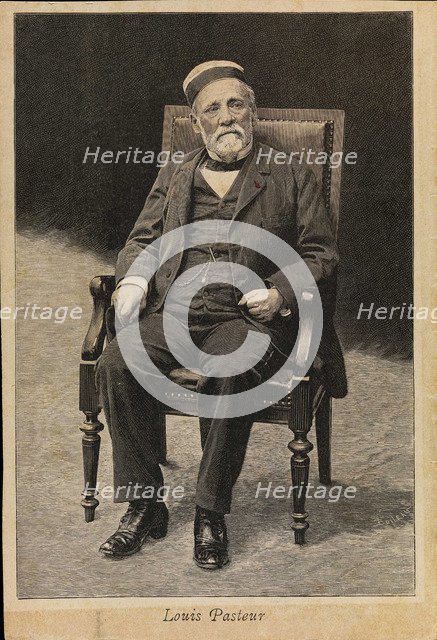 Portrait of Louis Pasteur (1822-1895).