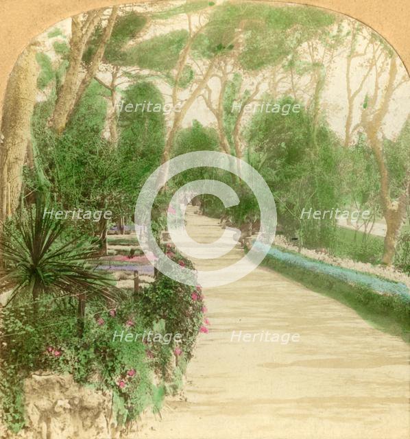 'Promenade, Alameda Garden, Rock of Gibraltar', 1896. Creator: Keystone View Company.